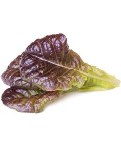 Click & Grow Smart Garden refill Red Красный салат 3 шт.