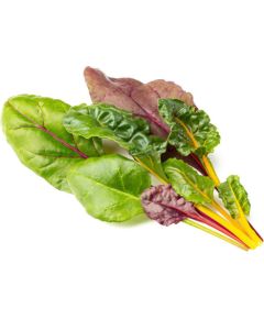 Click & Grow Smart Refill Rainbow Chard 3pcs