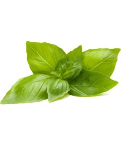 Click & Grow Smart Refill Lemon Basil 3pcs