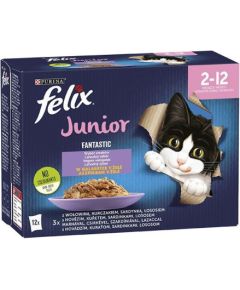 Purina Felix Fantastic jelly food for kittens in jelly beef, chicken, salmon, sardine - 12x 85 g