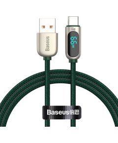 Baseus Display Cable USB to Type-C, 66W, 1m (green)