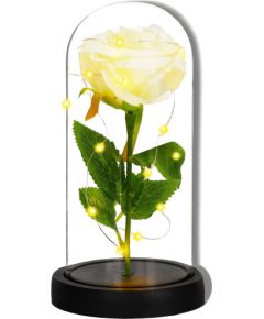 Вечная роза в стекле Springos HA7443