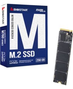 Dysk SSD Biostar M760 256GB