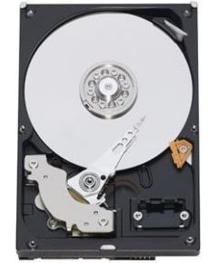 HDD WESTERN DIGITAL Blue 1TB SATA 3.0 64 MB 5400 rpm 3,5" WD10EARZ