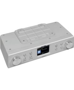TechniSat Digitradio 22 (silver, VHF, DAB+)