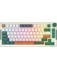 Wireless mechanical keyboard Royal Kludge RKH81 RGB, Sky cyan switch (green)