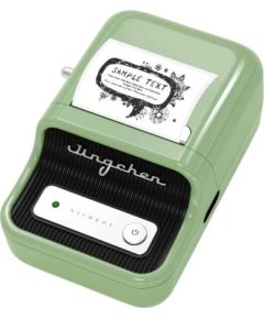 Niimbot B21 portable label printer (green)