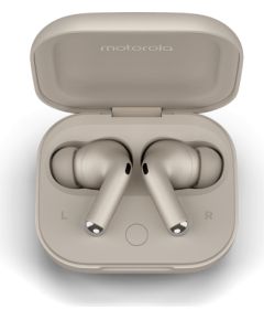 Motorola moto buds+, headset (beige) Austiņas