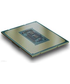 Intel Processor 300 3900 - Socket 1700 - processor TRAY (zero version) Процессоры