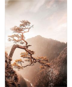 Foto glezna 50x70cm BROWN TREE