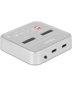 DeLOCK USB 3.0 docking and cloning station M.2 NVMe/M.2 SATA/SD, docking station (M.2 SSD, SD card) Жесткие диски (SSD)