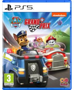 Sony PS5 Paw Patrol Grand Prix