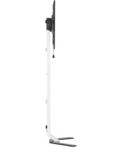 TECHLY Super Slim Floor Stand for LCD / LED / Plasma TV from 32inch to 70inch