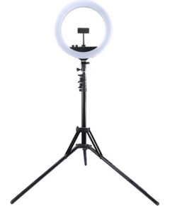 Puluz LED Ring Lamp 34.5cm with Tripod Stand up to 1.85m, Mirror, Phone Clamp, USB
