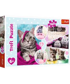 TREFL Пазл Котята, 160 шт.