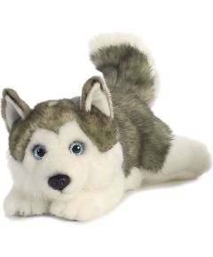 AURORA Miyoni Mīkstā rotaļlieta Husky (grey), 27 cm
