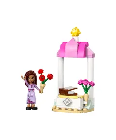 LEGO Disney Приветственный стенд Аши 30661