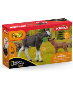 SCHLEICH WILD LIFE Alnis ar teliņu (NatGeo)