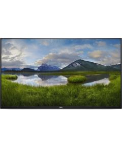 Monitor Dell P5524Q (210-BJKC) 55' ips