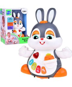 Dejojošs trusītis ar skaņām,gaismām ZA5071 [A] Развивающие игры