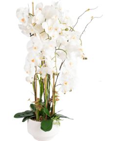Орхидея GARDEN QUEEN H102см, белый Искусственные цветы и растения