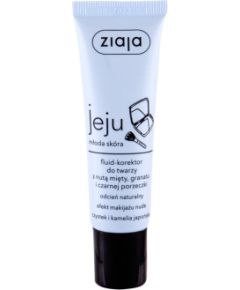 Ziaja Jeju 30ml W / Corrector