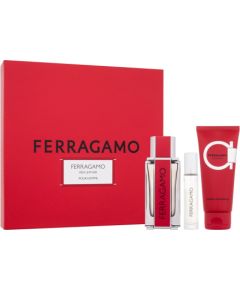 Ferragamo / Red Leather 100ml M / Eau de Parfum