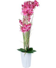 Orchid GARDEN QUEEN H132cm, pink Искусственные цветы и растения