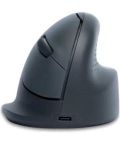 MOUSE USB OPTICAL WRL BASIC/R. GREY RGOHEBAMRWL R-GO TOOLS