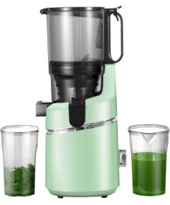 AMZCHEF SJ-036-GN slow speed juicer (green)