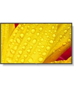 NEC MultiSync M501-2 - 127 cm (50") Diagonalklasse (125.7 cm (49.5") sichtbar) - M Series LCD-Display mit LED-Hintergrundbeleuchtung - Digital Signage - mit integrierter Media-Player / optionale Slot-in-PC-Funktionalitat - 4K UHD (2160p) 3840 x 2160