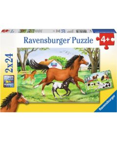 Ravensburger Puzzle 2x24 pc World of Horses