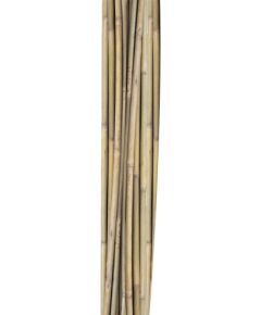 Bamboo canes IN GARDEN H150cm 10pcs/set D10/12mm