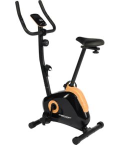 Velotrenažieris CHRISTOPEIT SPORT HT 2.1