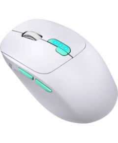 MOUSE DEFENDER NITTA MM-307 RF+BT OPTIC 1600dpi 6P WHITE