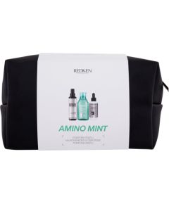 Redken Amino-Mint / Shampoo 300ml