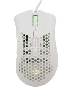 Baracuda BGM-032 Coral White