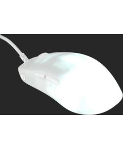 DATORPELE Endgame Gear OP1 RGB Gaming Maus - White Frost