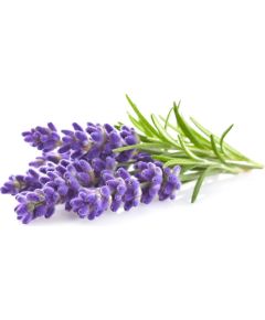 Click & Grow Plant Pod Lavender 9pcs