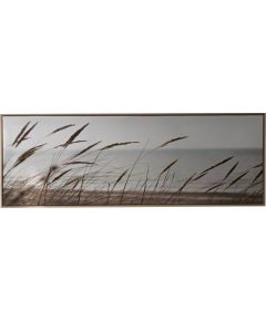 Wall art WALLY 50x140cm, rushes