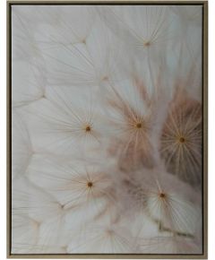 Wall art WALLY 45x60cm, dandelion