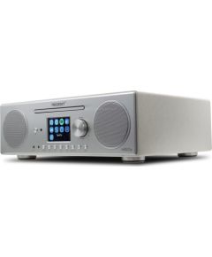 Interneta Radio Ferguson Regent i450s