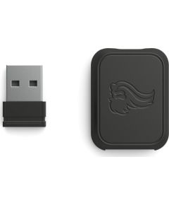 Glorious PC Gaming Race Wireless Dongle Kit - schwarz, matt