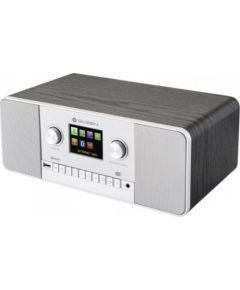 Interneta Radio GoGEN - IR257BTDAB