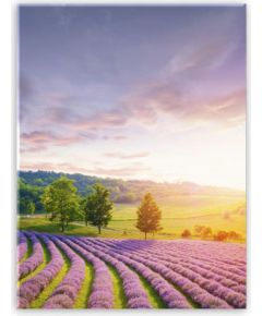 Foto glezna 50x70cm TUSCANY