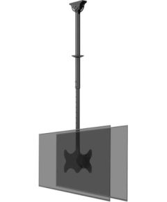 Newstar TV SET ACC CEILING MOUNT DUAL/23-42" CL35-340BL22 NEOMOUNTS