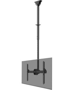 Newstar TV SET ACC CEILING MOUNT/37-70" CL35-440BL16L NEOMOUNTS