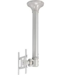 Newstar TV SET ACC CEILING MOUNT SILV./10-40" FPMA-C200 NEOMOUNTS