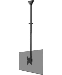 Newstar TV SET ACC CEILING MOUNT/23-42" CL35-340BL12 NEOMOUNTS