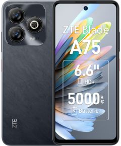 ZTE Blade A75 16.8 cm (6.6") Dual SIM Android 9.0 4G USB Type-C 4 GB 128 GB 5000 mAh Black